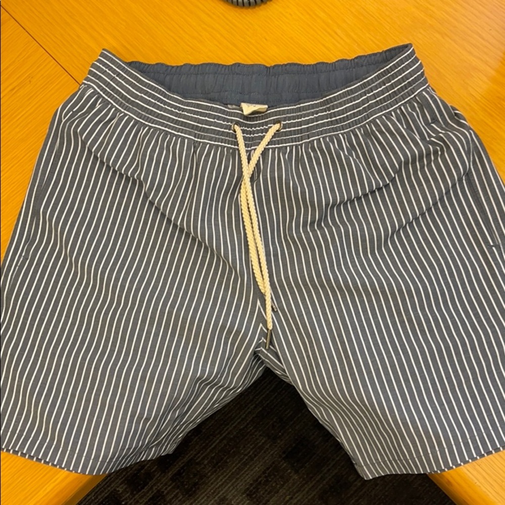 Fair Harbor for J Crew Medium Stripe Swim Trunks